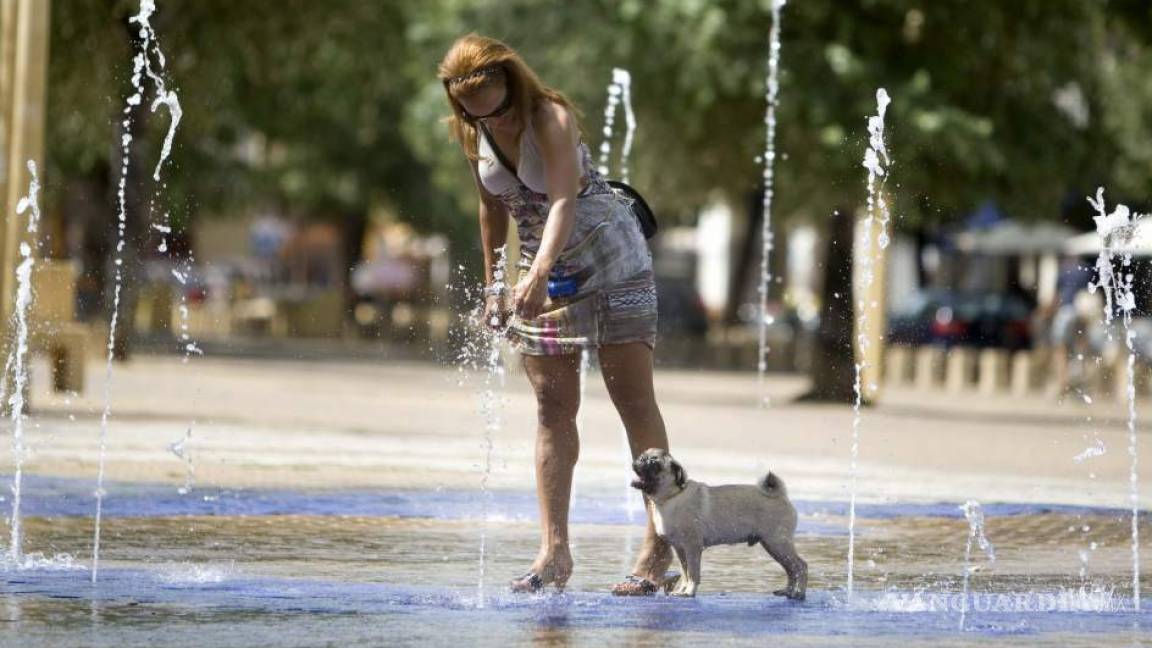 Dueños de perros tendrán que pasearlos dos veces por día, en Alemania