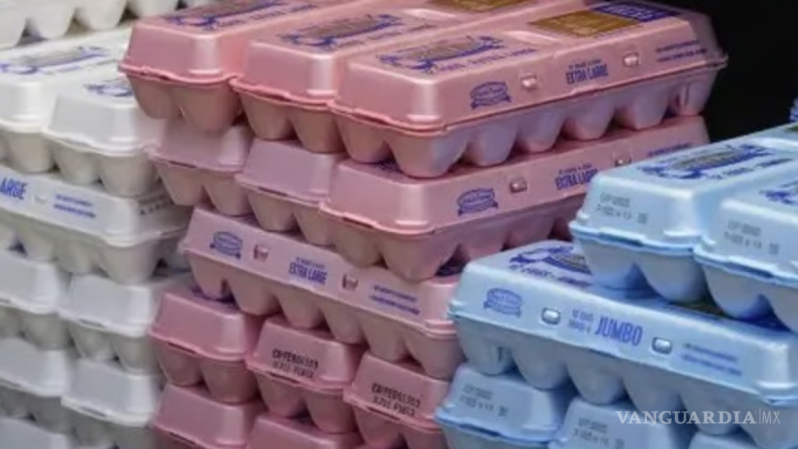 Por gripe aviar detiene producción el mayor proveedor de huevos de EU; sacrifica más de un millón de aves
