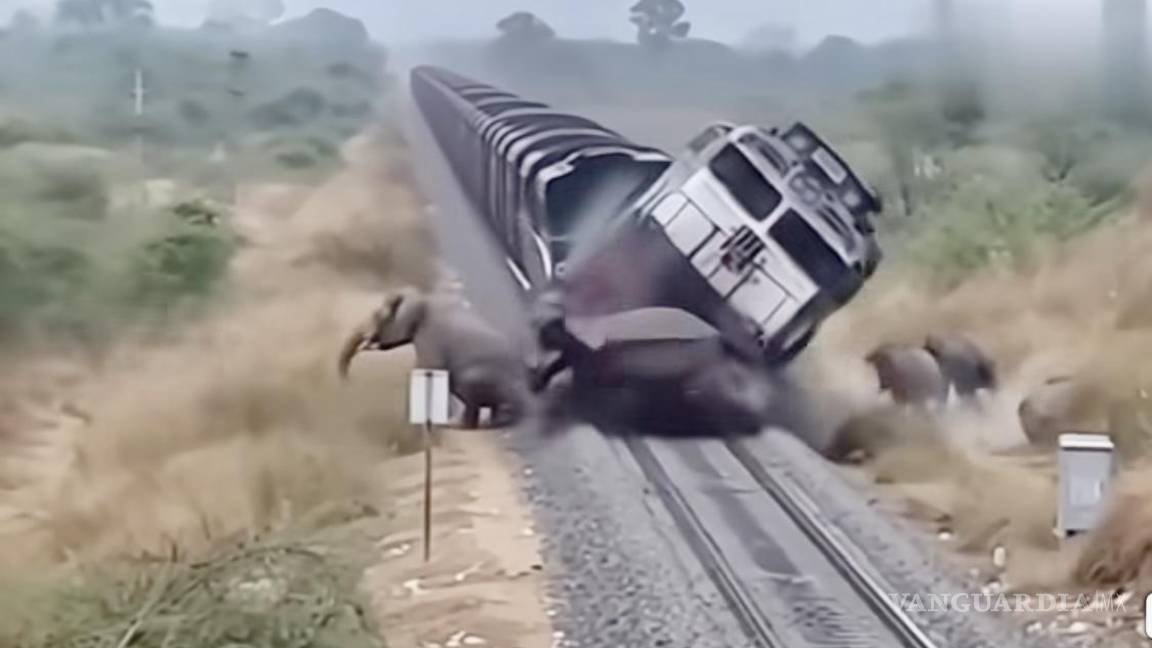 $!AMLO, José Ramón, Andrés Manuel, Gonzalo Alfonso y a un lado de la vía, el más pequeñín, Jesús Ernesto.