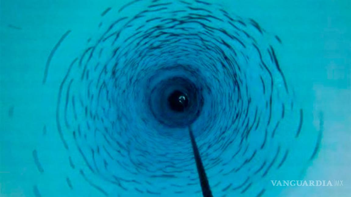 $!Encuentran agua tibia bajo el glaciar “más peligroso del planeta”, representa daño irreversible en la Antártida