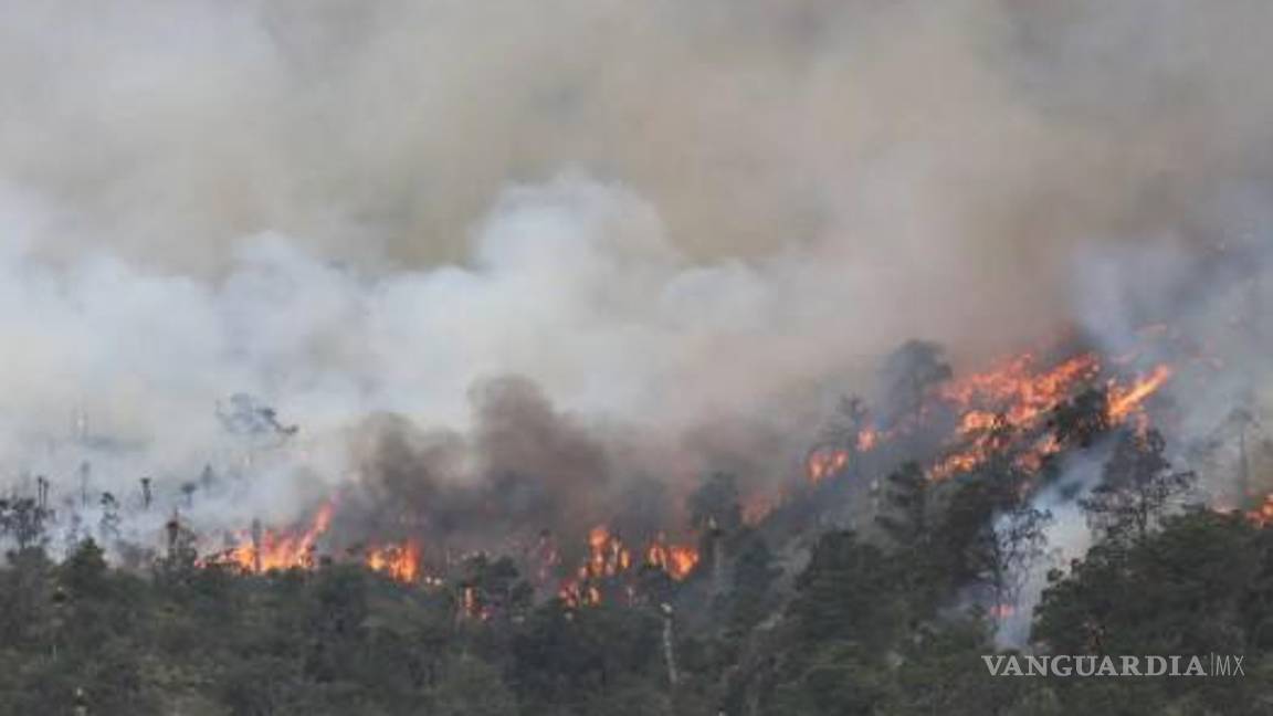 Es Coahuila el estado con menos incendios forestales