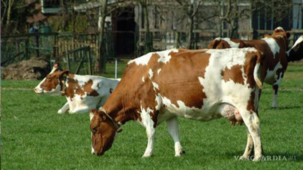 La Seder aconseja a ganaderos para evitar abigeato