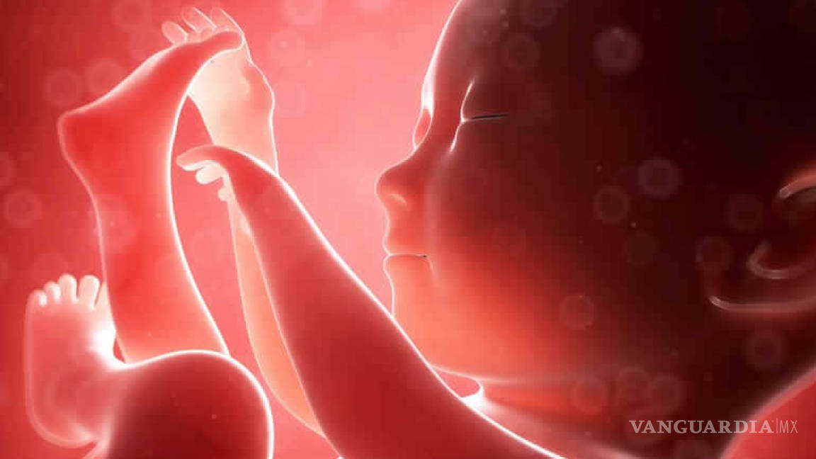 Crean vientre artificial fuera del cuerpo humano