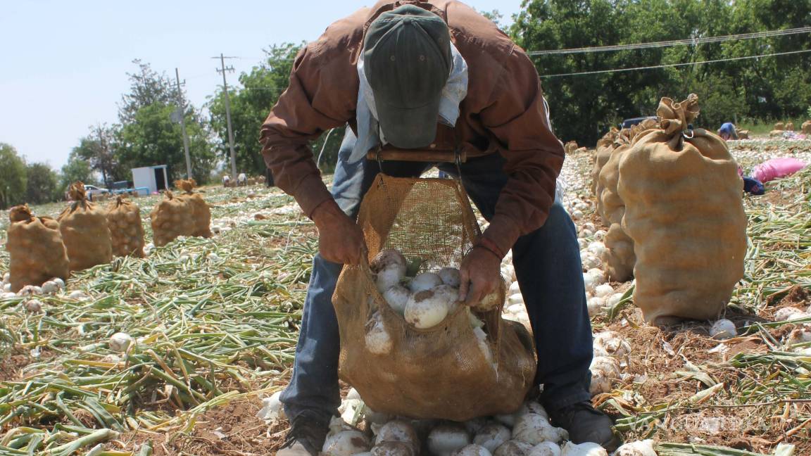 $!Un partido con visión: Toman bandera de Zapata para lograr el cambio en Coahuila