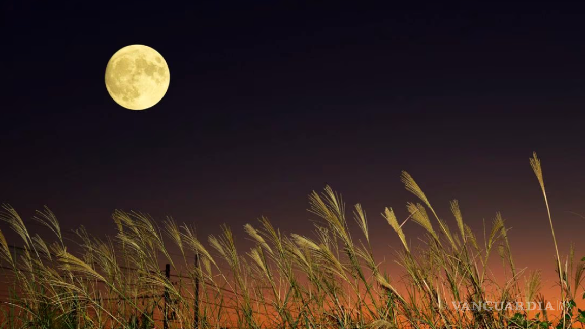 ¿Qué es la superluna de cosecha y cómo verla?