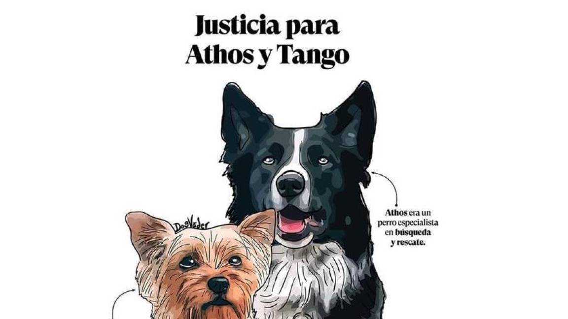 Arranca juicio por asesinato de los perros rescatistas Athos y Tango