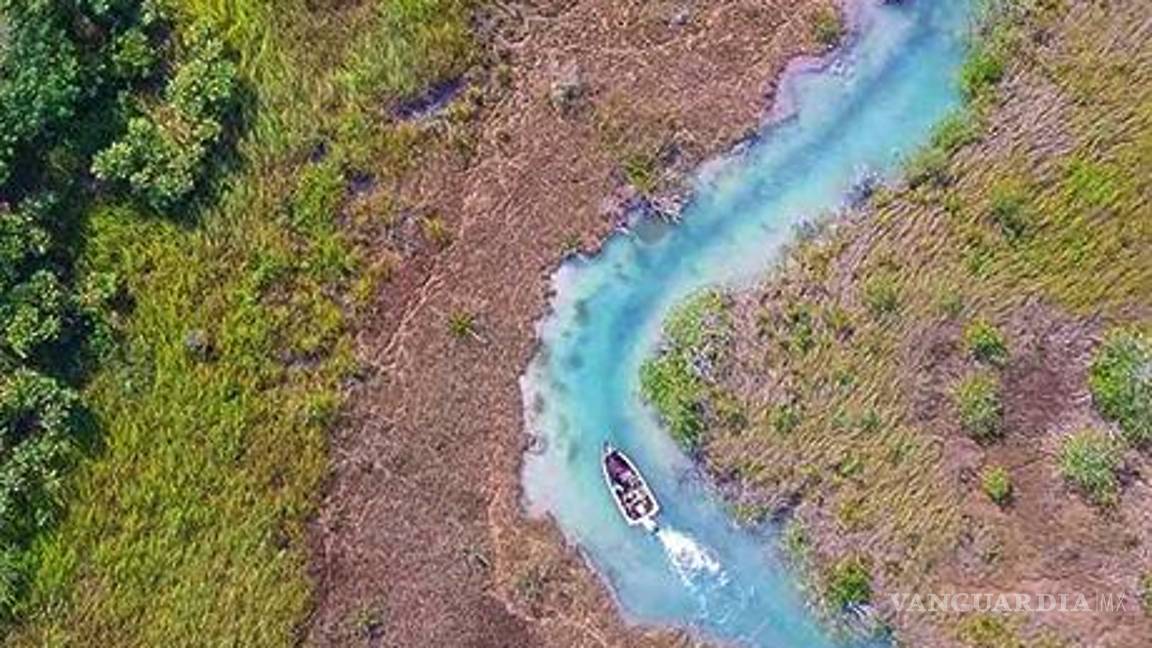 $!Los visitantes pueden embarcarse en recorridos en kayak o lancha, explorando cada rincón del estero
