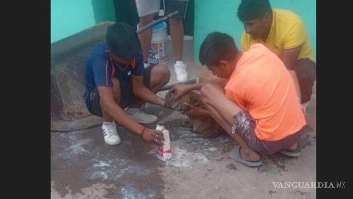 $!Ciudadanos hacen un llamado al alcalde Miguel Ángel Ramírez para que colabore con la ciudadanía y ayude a dar con los responsables.