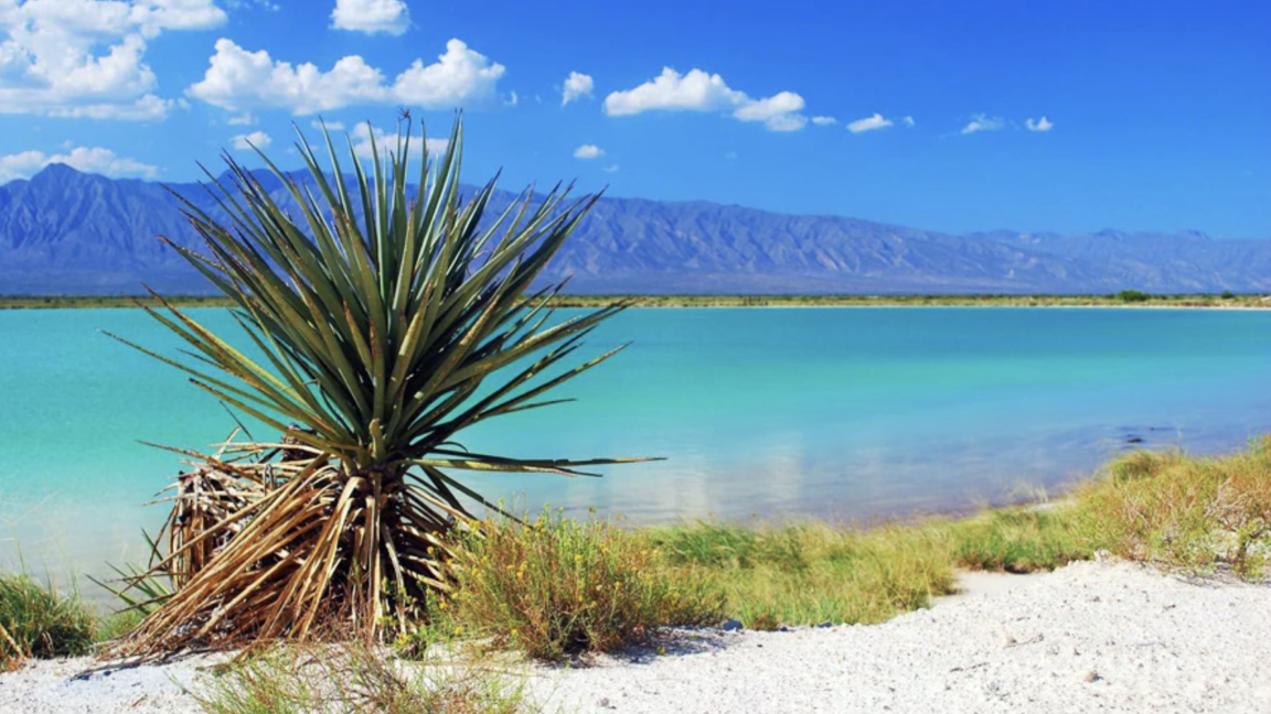 $!Cuatro Ciénegas, es un valle desértico alberga un ecosistema único con pozas de agua cristalina que contrastan con el entorno árido.
