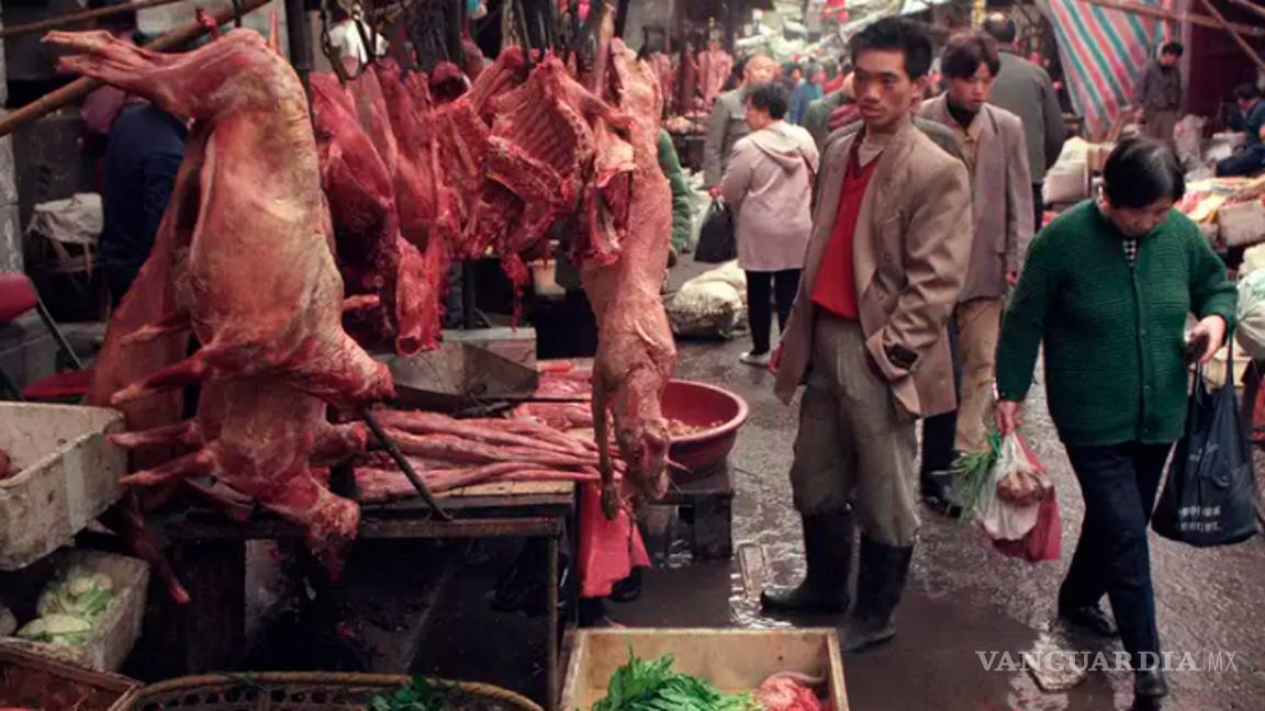 $!A un año del primer caso de COVID en EU, ¿realmente sabemos de dónde surgió el virus?