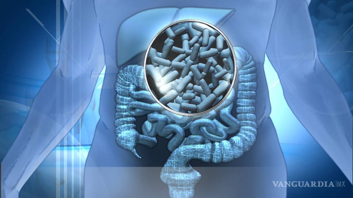 $!Crean científicos de Coahuila cerveza con probióticos que protegen de infecciones gastrointestinales