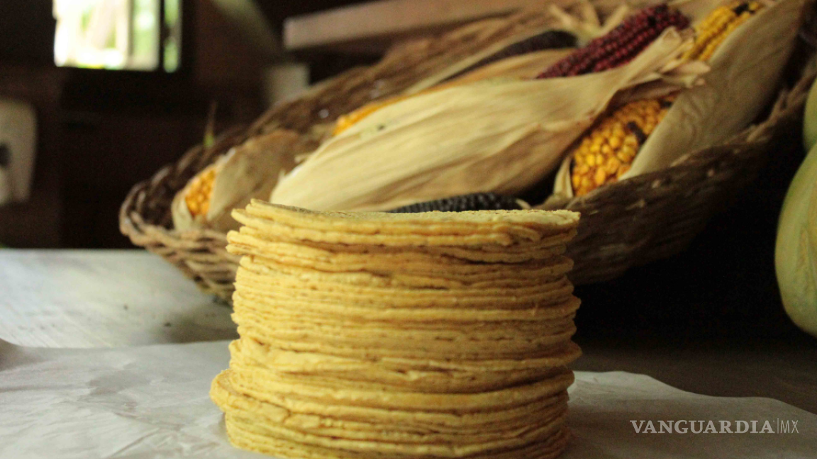 ¡A 30 pesos el kilo de tortilla de maíz!... ven aumento de precio para agosto
