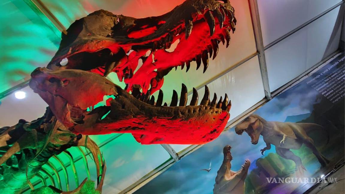 $!El Mude sigue promoviendo a Coahuila a través de sus exposiciones en la Ciudad de México, como ya lo hizo con “Dinos en Los Pinos” en 2023.