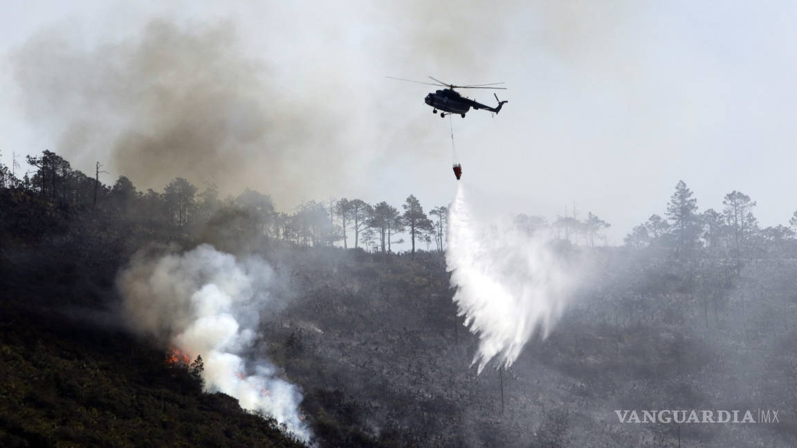 Tres meses y aún no hay castigo por incendio forestal en la Sierra de Arteaga