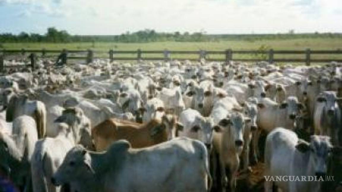 $!Inaugurará EPN proyecto ganadero en La Laguna de Durango