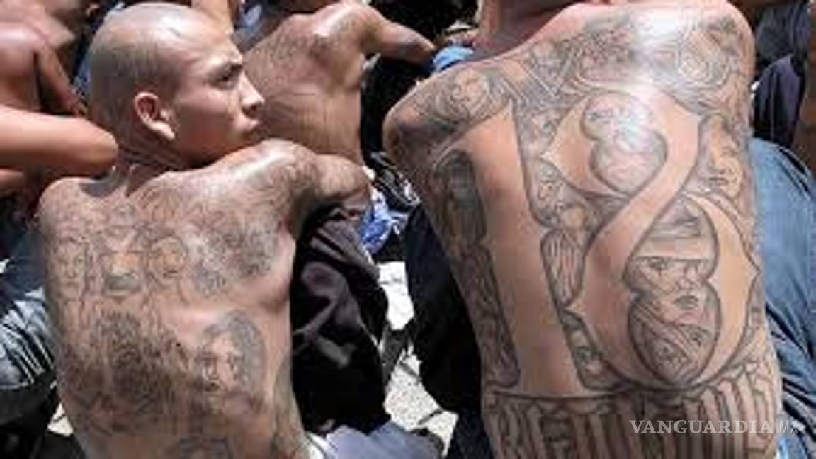 $!¿Cómo surgió la Mara Salvatrucha?... la sangrienta narco pandilla que amenaza a Estados Unidos y tiene presencia, ¡en Piedras Negras!