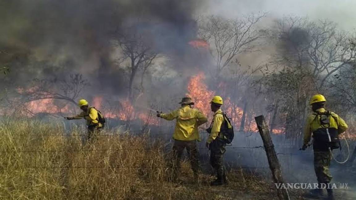 $!Detenidos 3 posibles responsables de incendio del Amazonas en Brasil