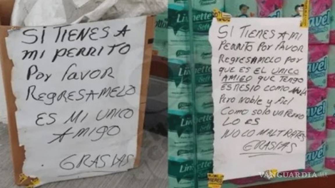 $!Se hace viral foto de indigente llorándole a su mejor amigo... un perrito callejero