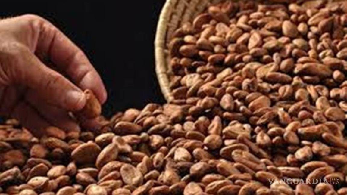 Presentan en Alemania el primer chocolate elaborado con cacao nicaragüense