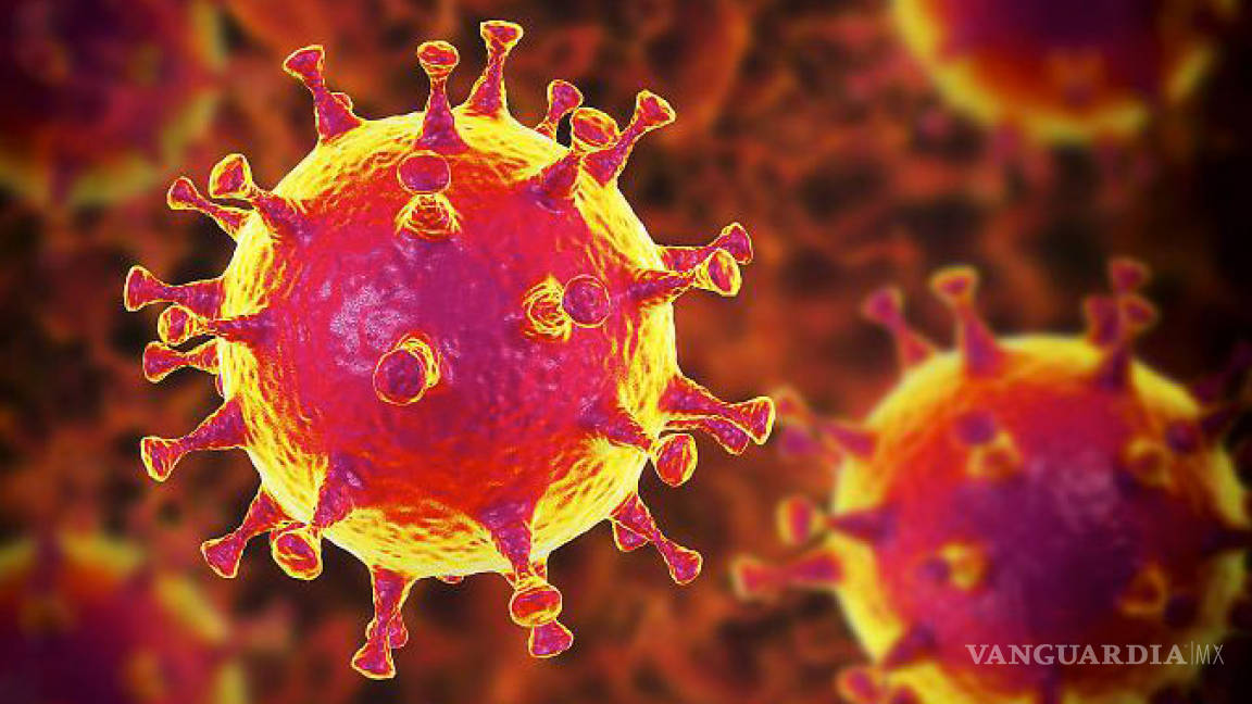 De uno a miles: desentrañando el misterio del coronavirus con huellas genéticas