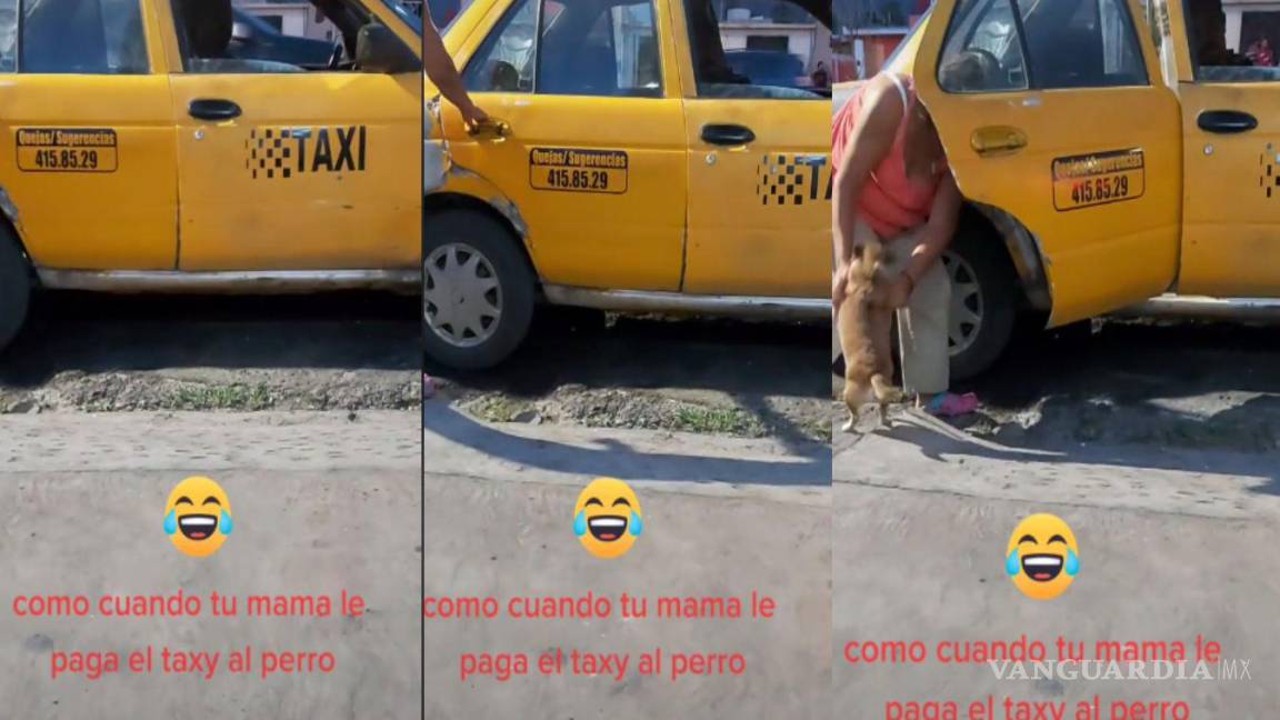 En Saltillo mujer paga taxi a su perrito y se hace viral en TikTok (video)
