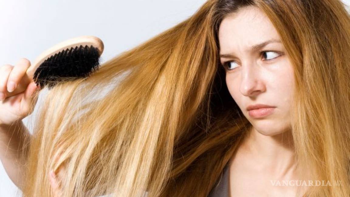 Elimina el cabello seco y sin brillo