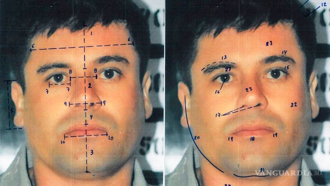 El Chapo Guzman El Juicio Del Siglo Libro Pdf vanguardia.com.mx