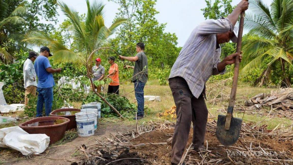 Programas del Bienestar de AMLO han generado 84 mil empleos en Centroamérica... ‘estamos predicando con el ejemplo’