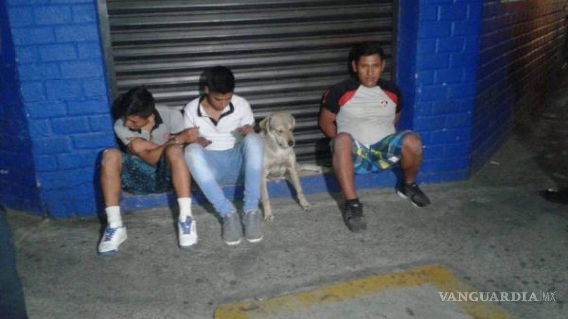$!Caen 3 jóvenes y su mascota por robo; perro sorprende con cara de arrepentimiento