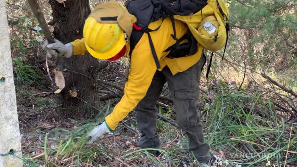$!18 días después, al fin es controlado al 100% incendio de la Pinalosa