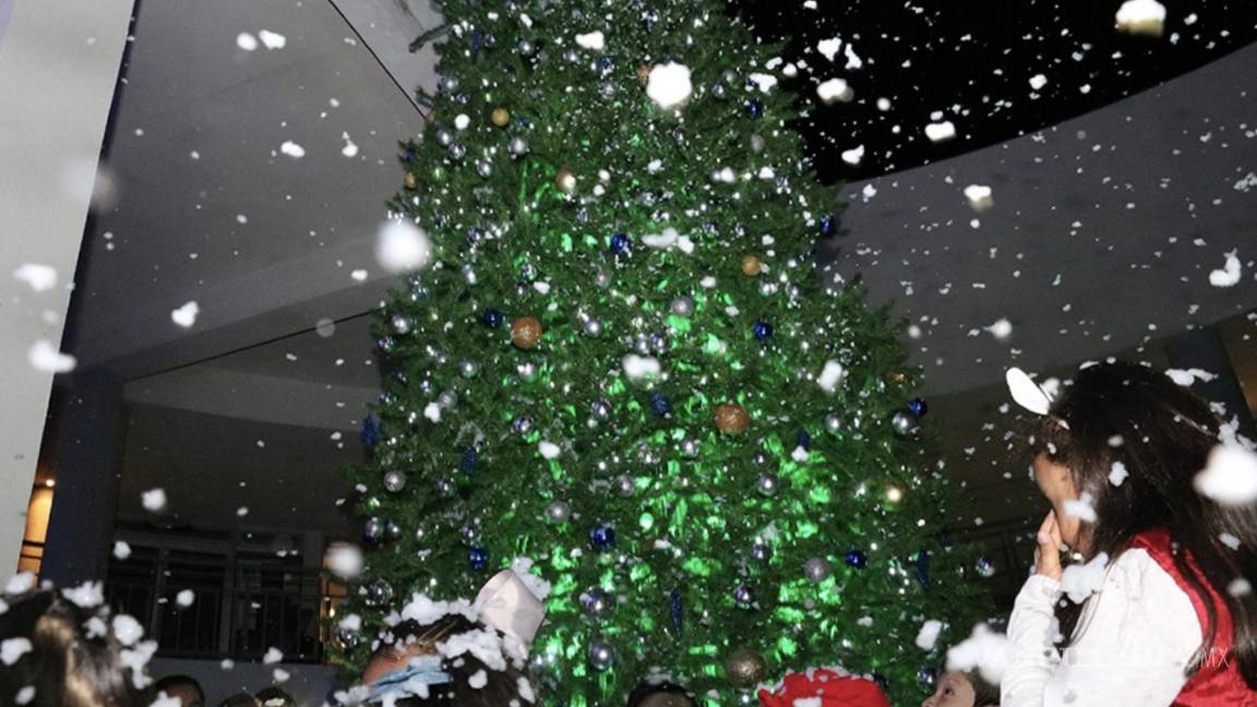 Alcaldía de SLP gastó 1.5 mdp en árbol de Navidad