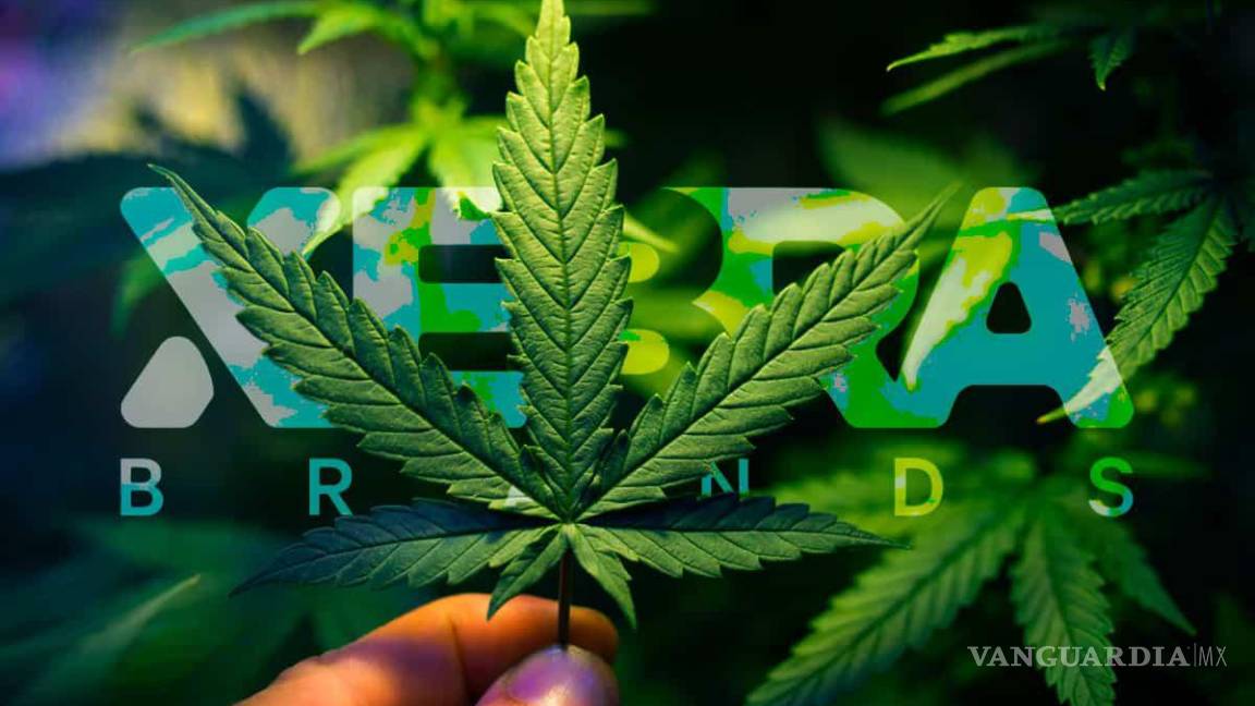 Cofepris apelará permiso para producir cannabis industrial en México