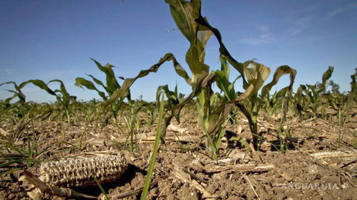 17.9% del país presenta sequías