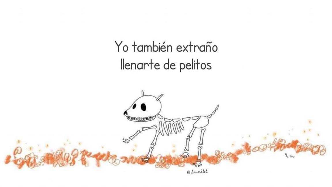 $!Recuerdan en Saltillo a las mascotas difuntas; el 27 de octubre se les pone ofrendas y un altar