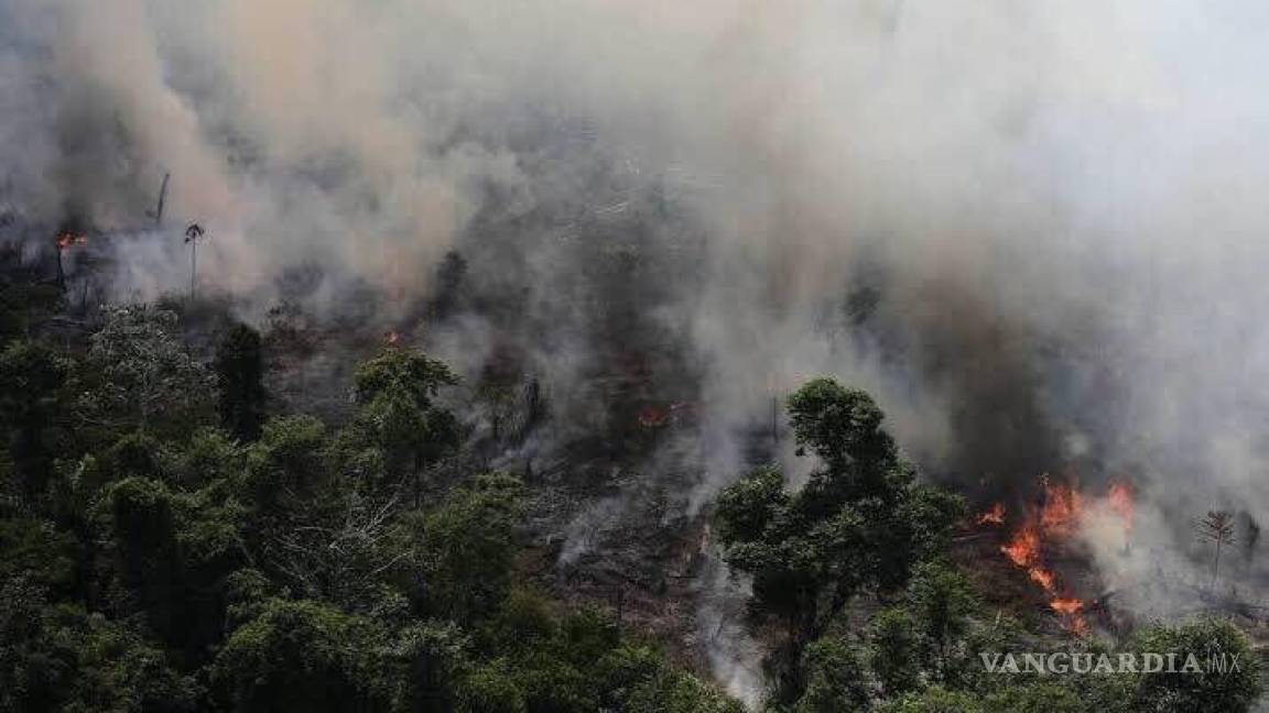 Jair Bolsonaro prohíbe encender fuego en el Amazonas por dos meses