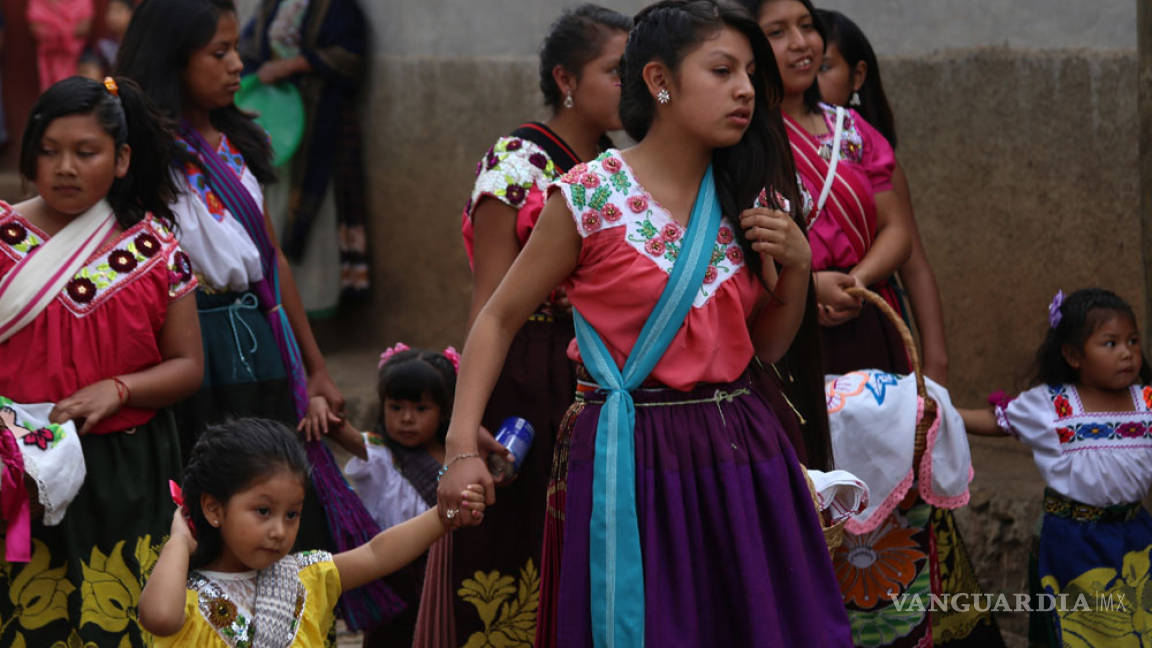Pueblos indígenas deben decidir sobre proyectos que afecten su territorio: CNDH