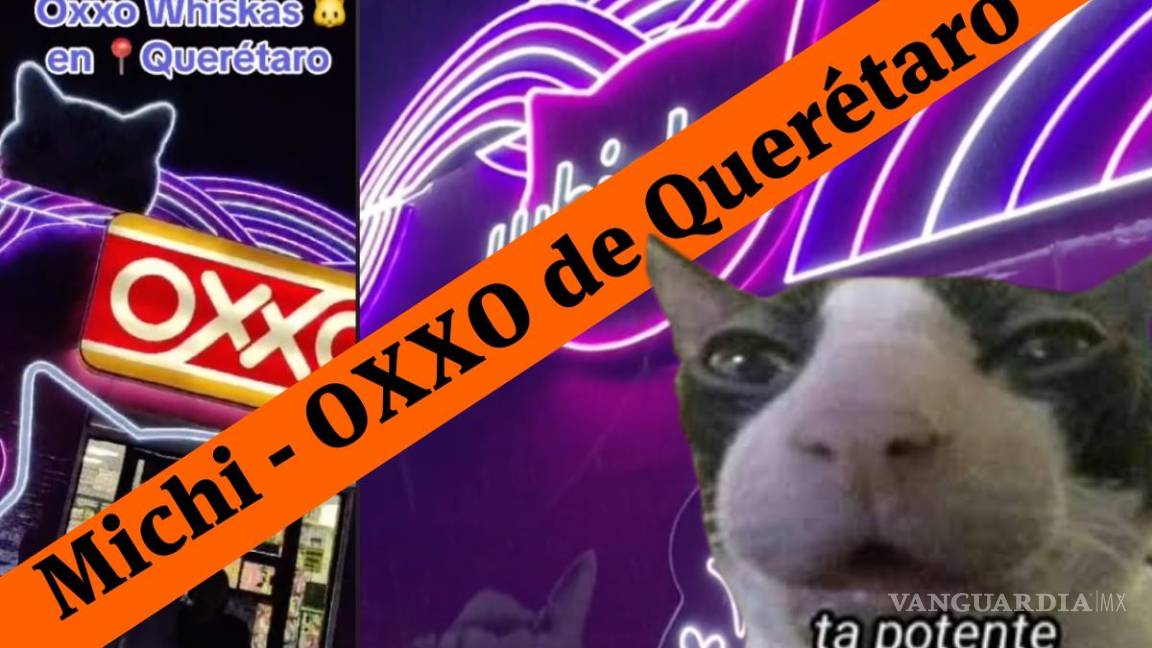 ¿Ubicación del Michi-Oxxo de Querétaro?, tienda con decoración de gatitos se hace viral en TikTok (video)