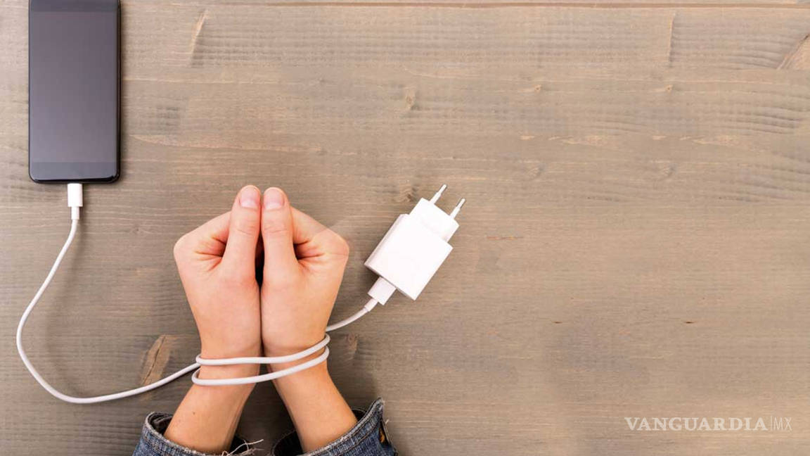 $!Ante el confinamiento, es hora de una desintoxicación digital… sabemos que todos lo necesitamos