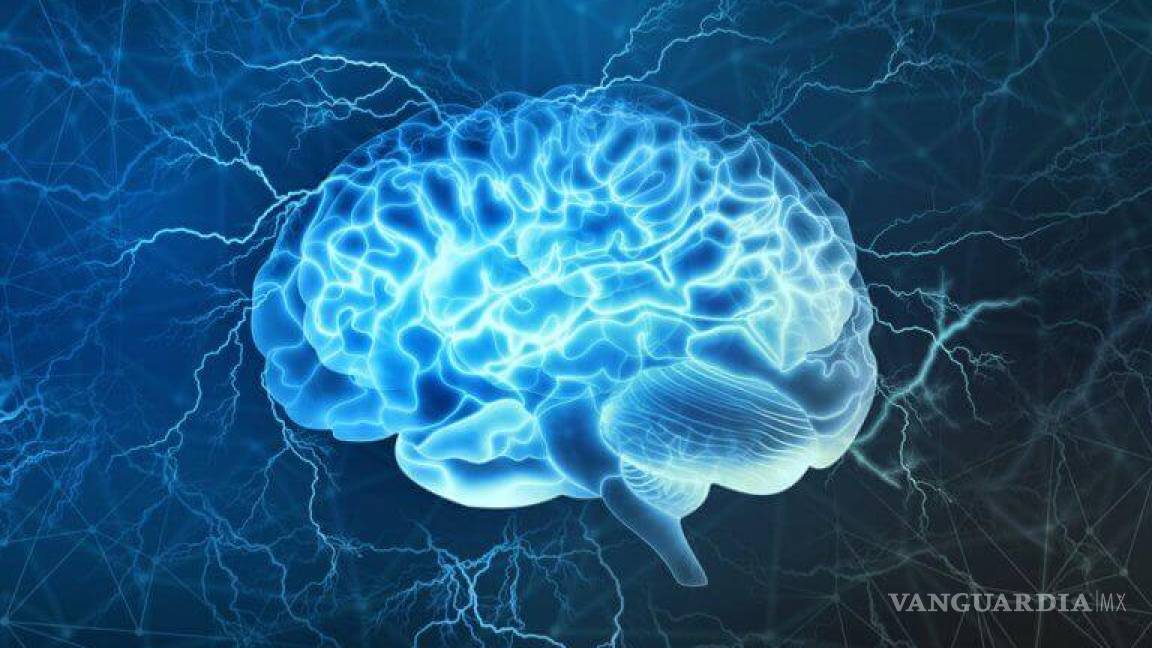 ¿Qué le ocurre al cerebro antes de morir?
