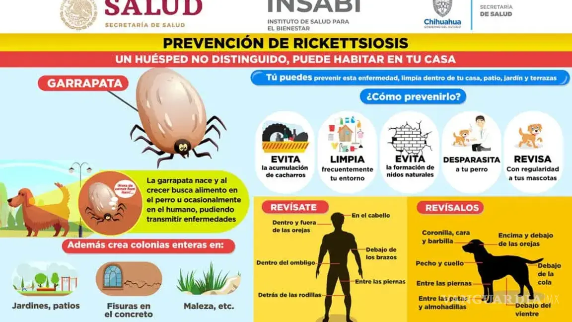 $!Tamaulipas registra su primer caso de rickettsiosis en 2025; suman 76 casos a nivel nacional