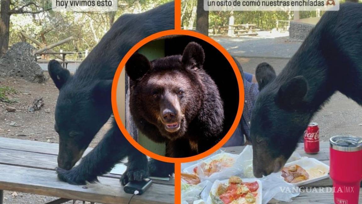 ¡Uy, quieto!: Familia ‘comparte taco’ con oso en Chipinque, Nuevo León (VIDEO)