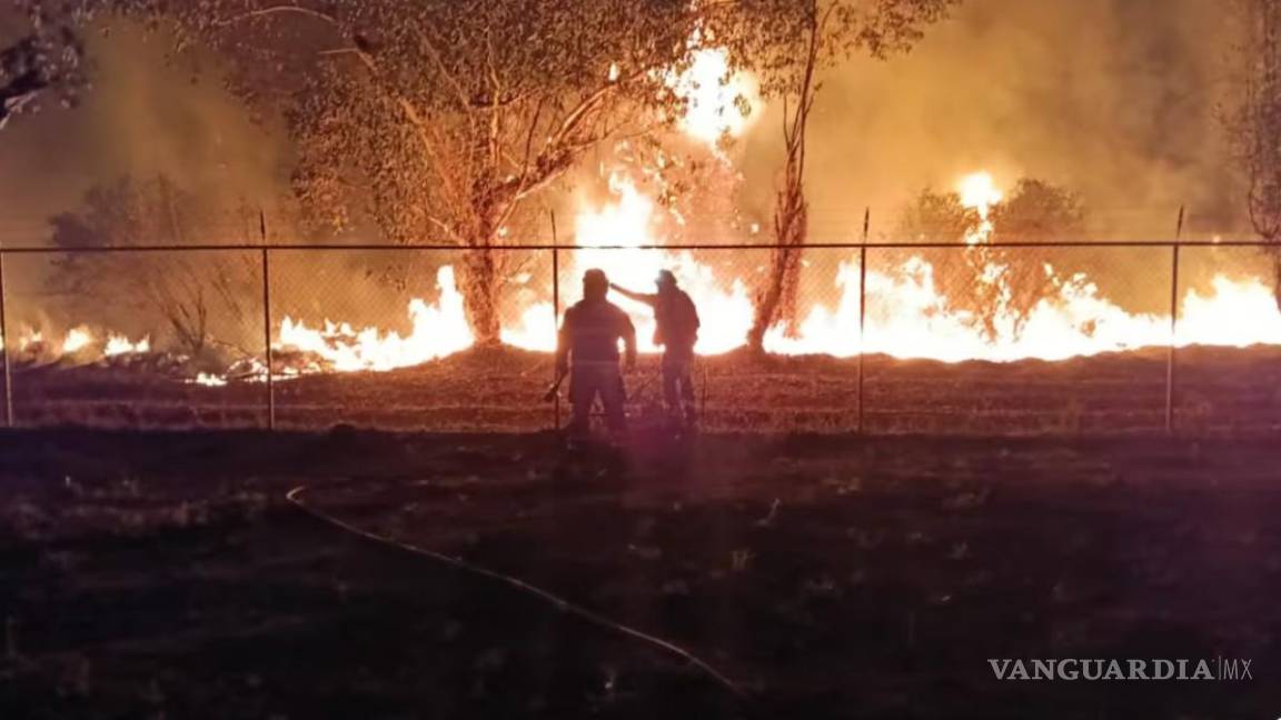 Consume incendio 5 hectáreas de la Reserva Ecológica de Xochimilco
