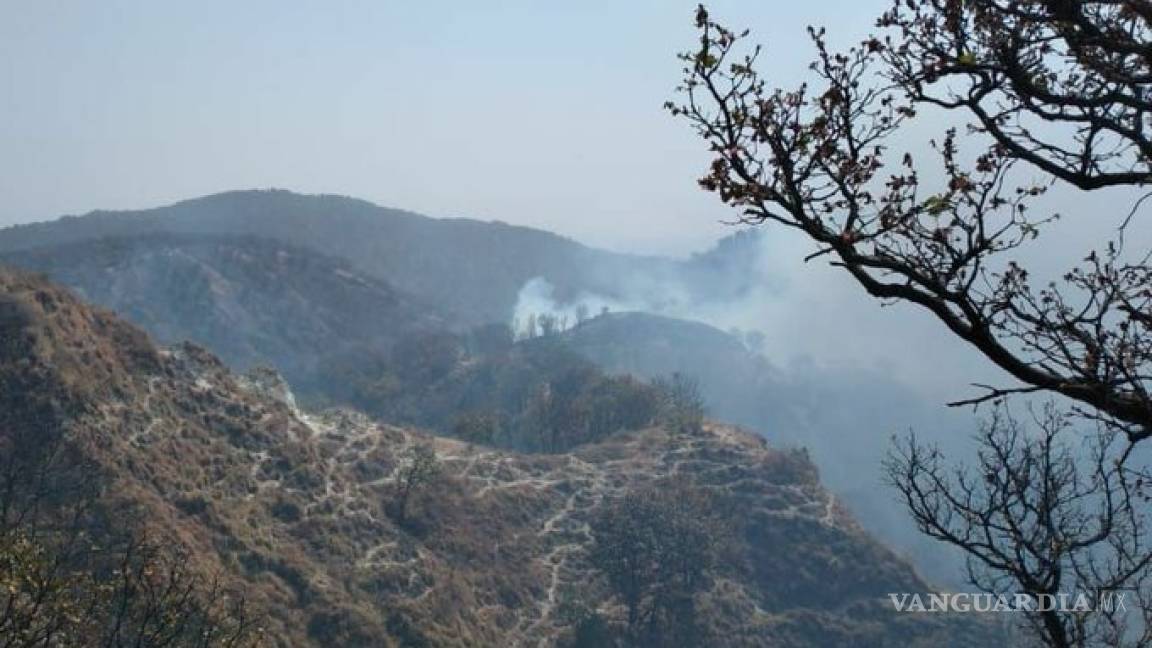 Declaran alerta en Jalisco por incendio en Bosque La Primavera