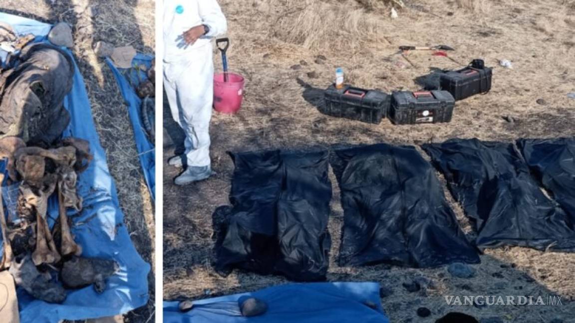 Hallan 22 cadáveres en fosa clandestina en Celaya, Guanajuato