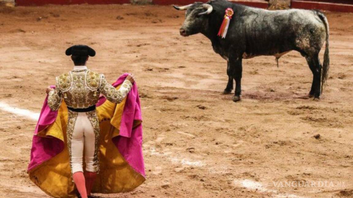 Samuel García vetará ley que reconoce corridas de toros y peleas de gallos en Nuevo León