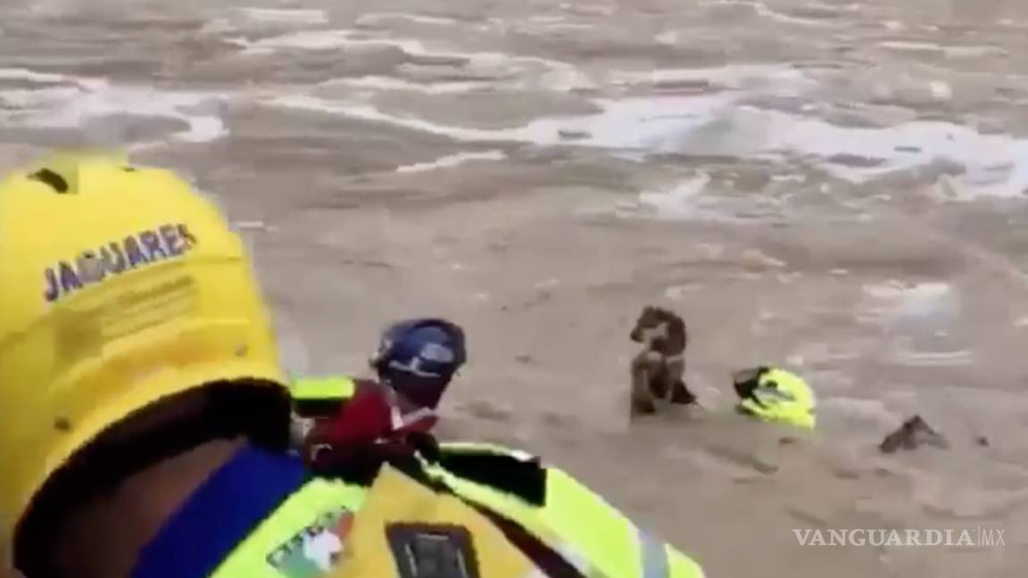Corriente casi se lleva a perro en Santa Catarina, Nuevo León; graban su rescate (VIDEO)