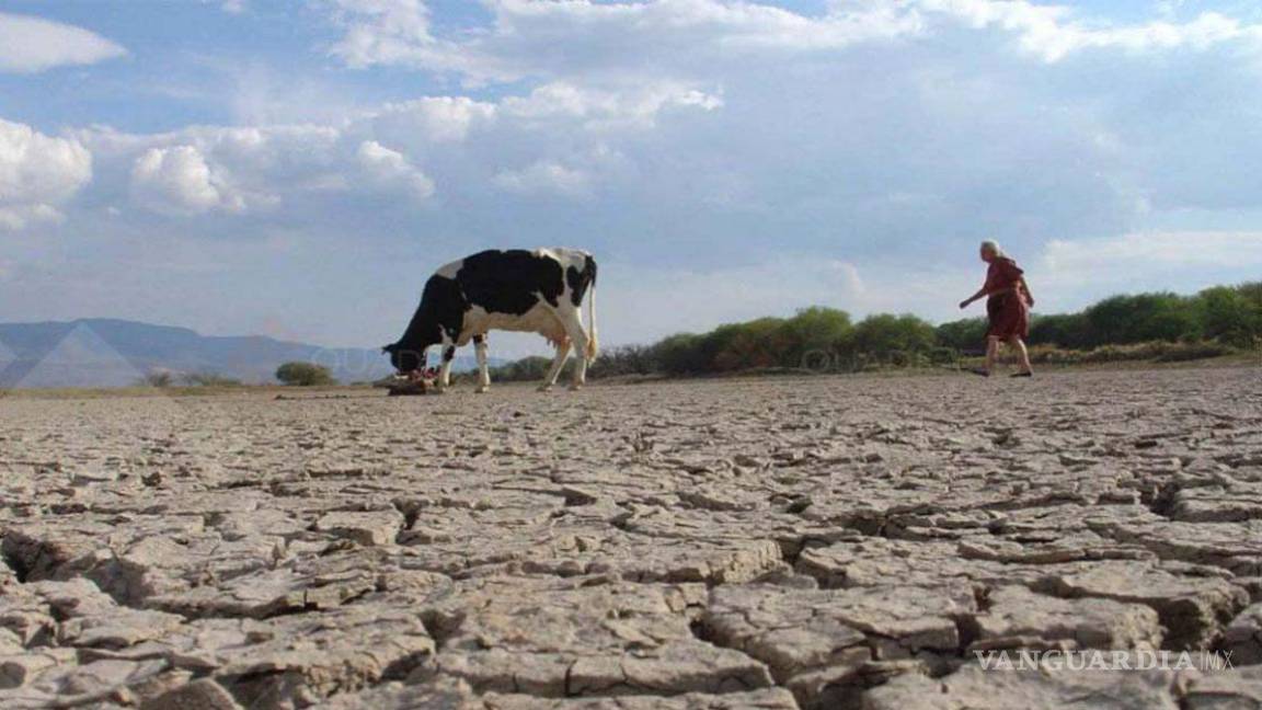 Declara Conagua emergencia por sequía en México
