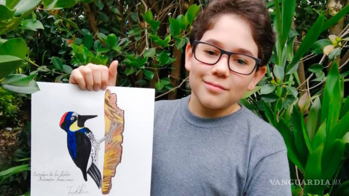 A sus 14 años realiza una guía de aves en Colombia y es premiado