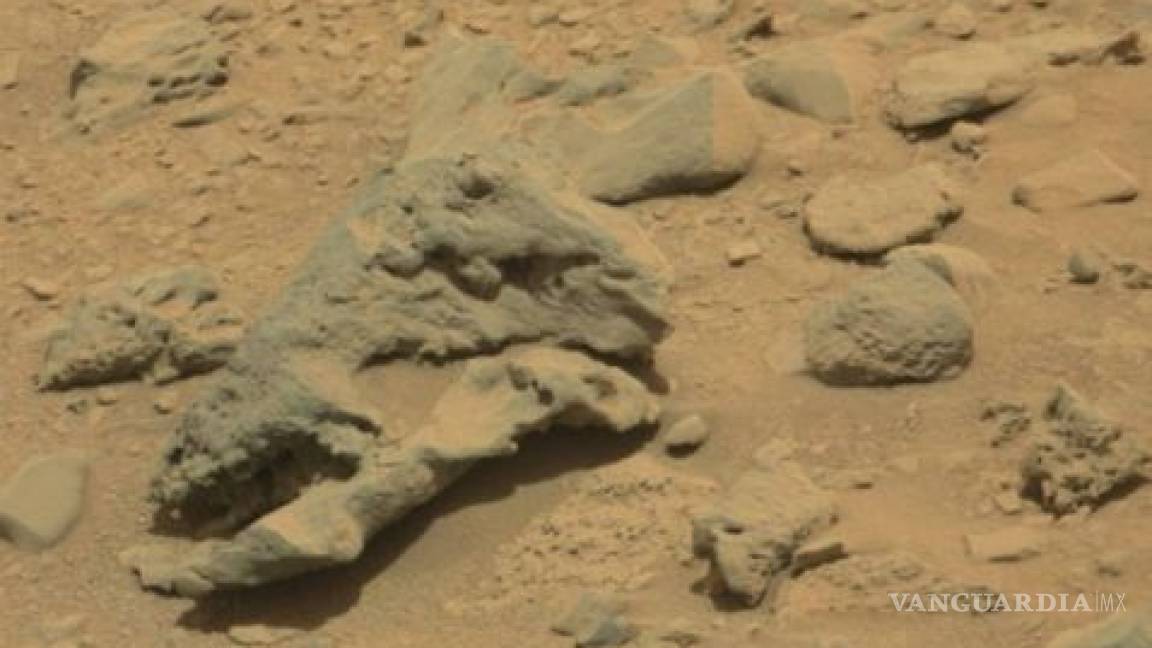 Hallan supuesto cráneo de dinosaurio en Marte
