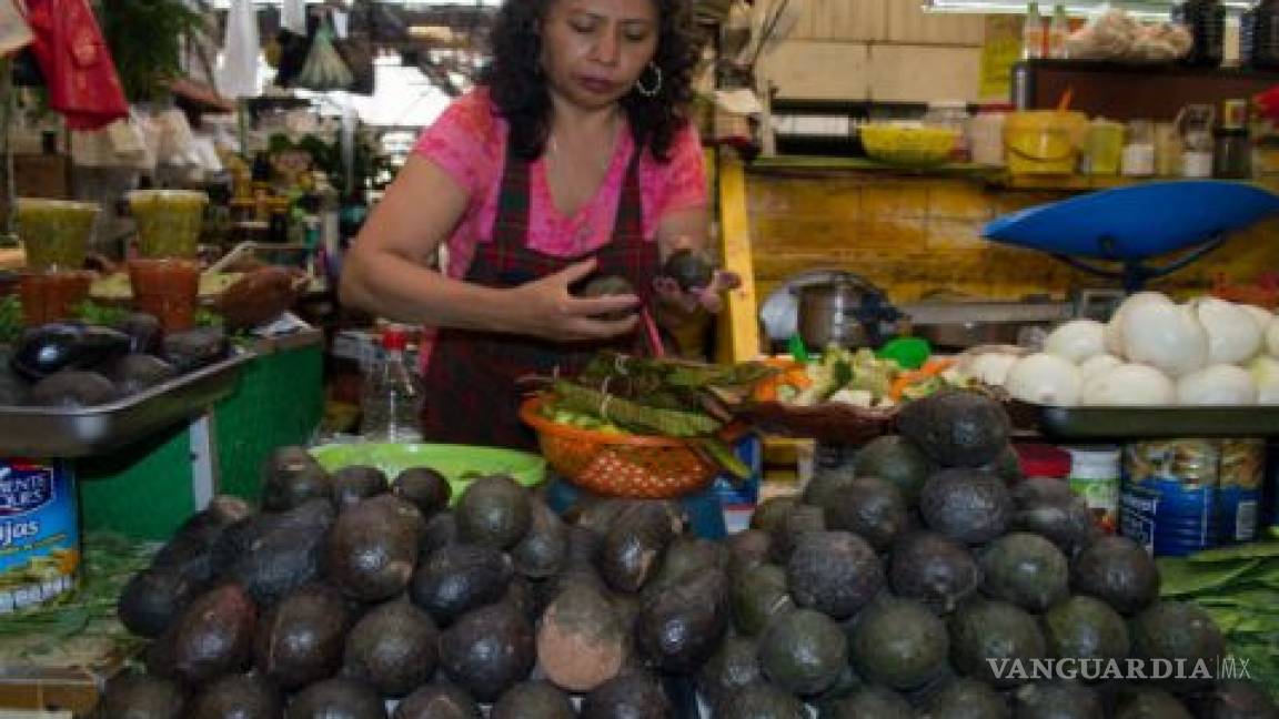 Profeco recomienda comparar precios al comprar aguacate